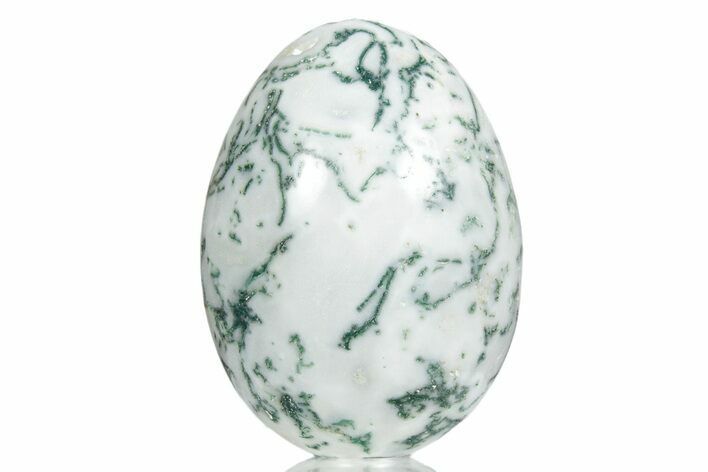 Polished Tree Agate Egg - India #356340